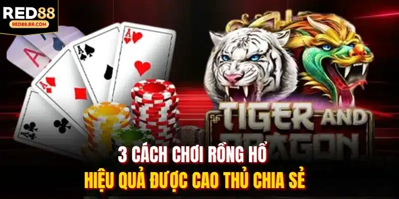 3 cách chơi rồng hổ hiệu quả được cao thủ chia sẻ
