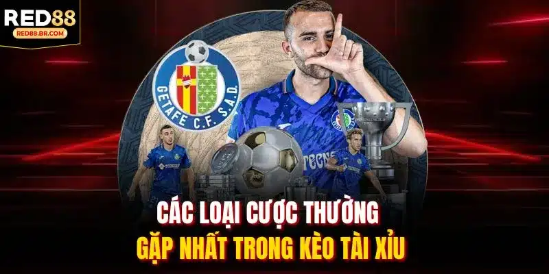 Các loại cược thường gặp nhất trong kèo tài xỉu