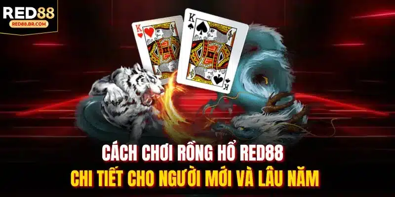 Cách chơi rồng hổ