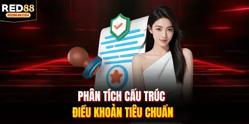 Phân tích cấu trúc điều khoản tiêu chuẩn