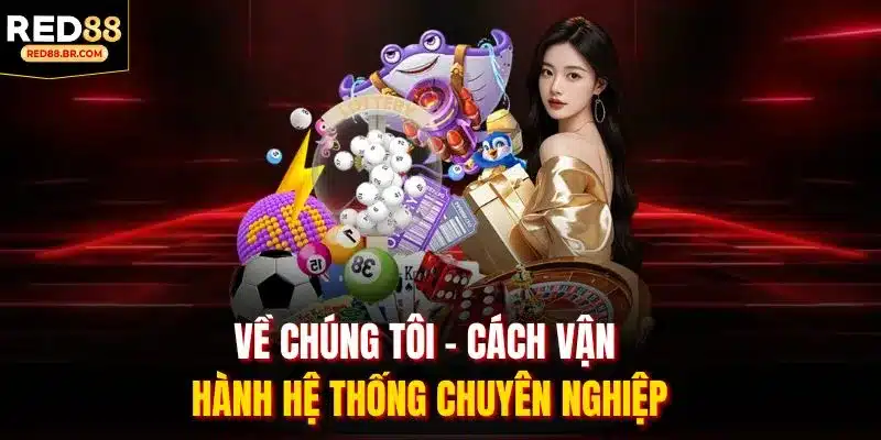 Về chúng tôi - Cách vận hành hệ thống chuyên nghiệp
